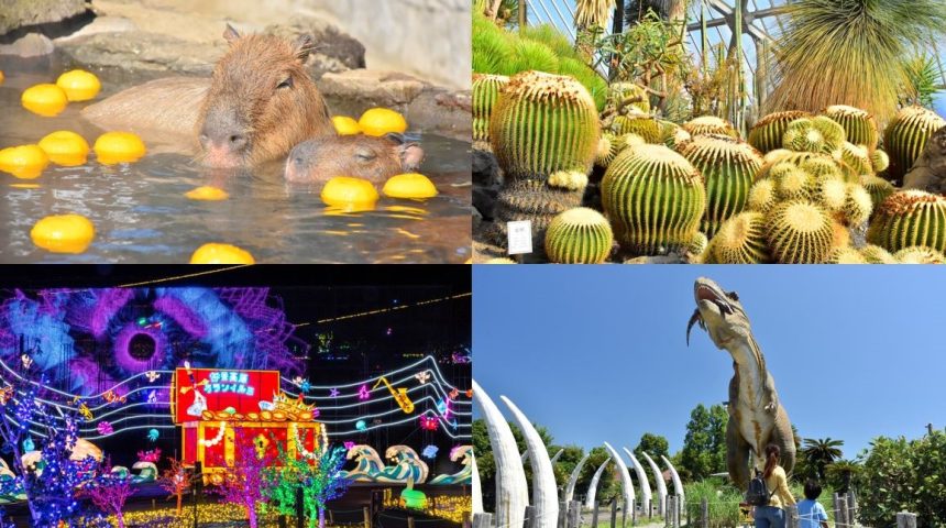 大好評発売中！！「アニタッチ」でしか買えない伊豆シャボテン動物公園グループ特別前売券