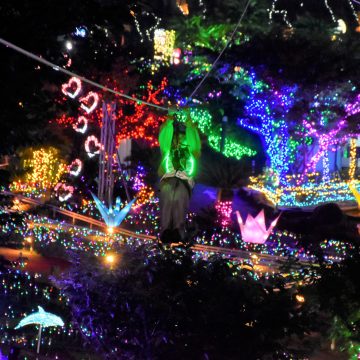 【テレビ放映のお知らせ】 2025年2月19日（水） 18：25～21：00   テレビ東京  水バラ「早春の伊豆半島！ぐるり一周対決旅」