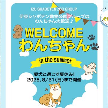『WELCOMEわんちゃんin the summer』～ 愛犬と過ごす夏休み！　2025.8/31（日）まで開催 ～