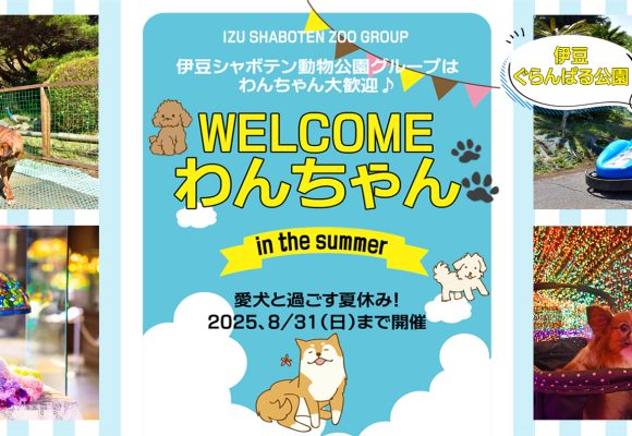 『WELCOMEわんちゃんin the summer』～ 愛犬と過ごす夏休み！　2025.8/31（日）まで開催 ～