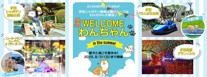 『WELCOMEわんちゃんin the summer』～ 愛犬と過ごす夏休み！　2025.8/31（日）まで開催 ～