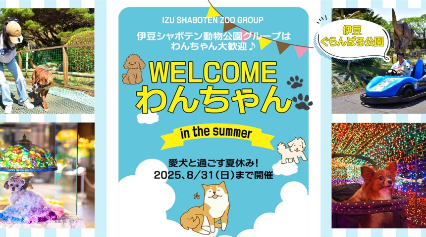 『WELCOMEわんちゃんin the summer』～ 愛犬と過ごす夏休み！　2025.8/31（日）まで開催 ～